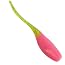 Southern PRO Stinger SHAD 2" 50 PER Pack GRUBS Lures Bait Jig (Cajun Chicken)