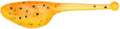 Strike King 2-Inch Mr. Crappie Shadpole Panfish Bait (15-Pack), Cajun Cricket