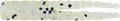 Crappie Magnet 50-Pack Split-Tail Grub Body Pack, One of The Top Vertical Fishing Jigs for Crappie, Freshwater Fishing Accessories, Shonuff
