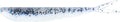 Lunker City Fishing Fin-S Fish 2.5" Split Tail Soft Plastic Jerk Bait Minnow Original Walleye and Bass Lure, 20 Per Bag, Made in The USA - 101 S&P Blue Phantom