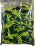 New 50 pk 1.5" Southern Crappie Pro Fishing Tube Jig Skirts Perch Bluegill Bream All-Purpose Freshwater Equipment Saltwater Lure Bait Kit Little Hustler (Hunter Green/Chart Pepper)