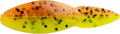 Bobby Garland Crappie Shooter Skipping and Shooting Bait Soft Plastic Fishing Lure, Accessories for Freshwater Fishing, 1.5", Pack of 15, Cajun Cricket